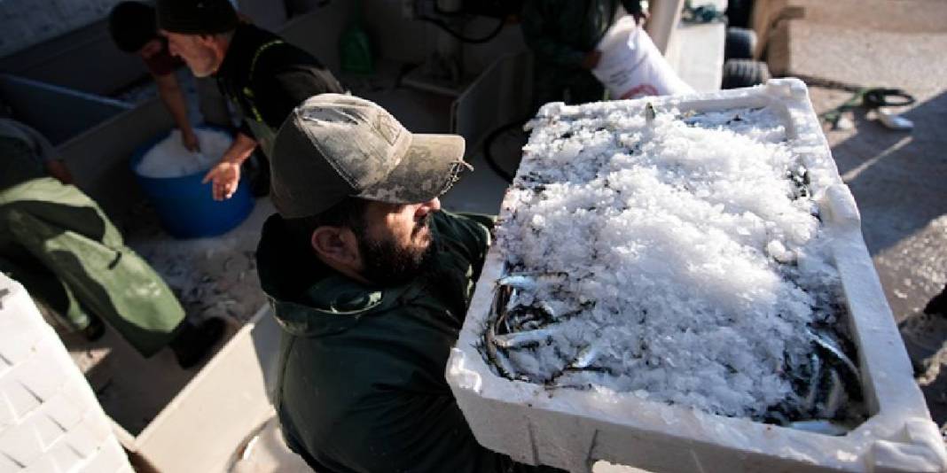 İşçi sorunu denizleri de vurdu! 80.000 TL’ye yine de çalışmıyorlar: Futbolcu misali transfer oluyorlar 3